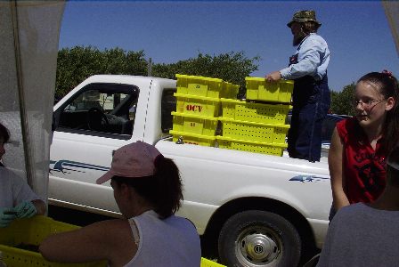 Loading of the Bins for Transport