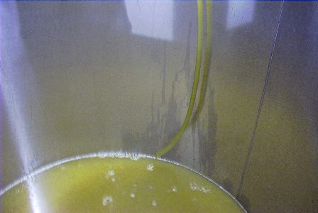 Riesling juice in tank